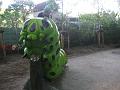 minizoo 28